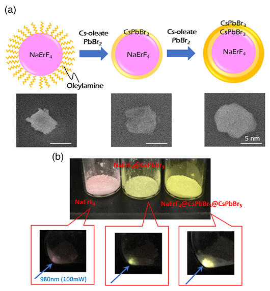Tyr Aske Maori Teikyo University of Science succeeds in effectively converting weak near-infrared  light to visible light by using upconversion nanoparticles | News | Science  Japan