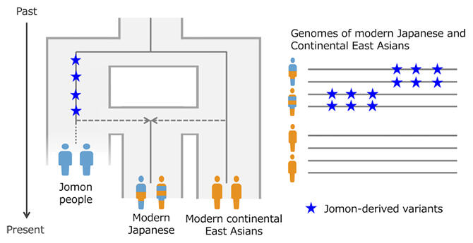 jomon japanese people