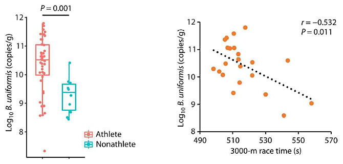 Sports Performance Bulletin - Endurance training - Endurance