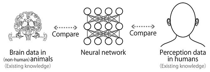 SoundHuman Features