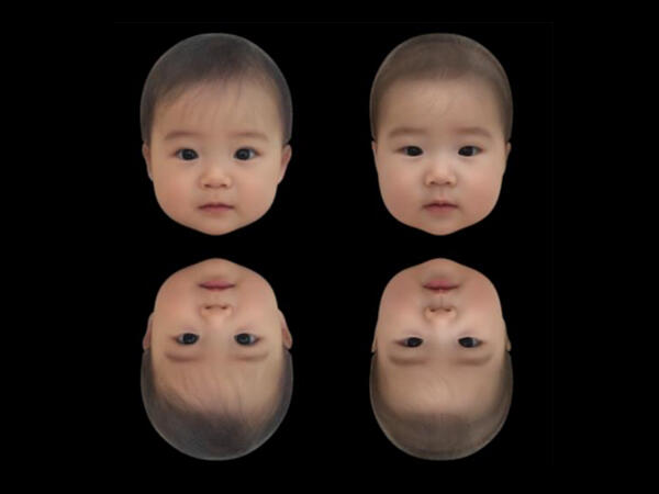 Osaka University reveals that the cuteness of infant face is