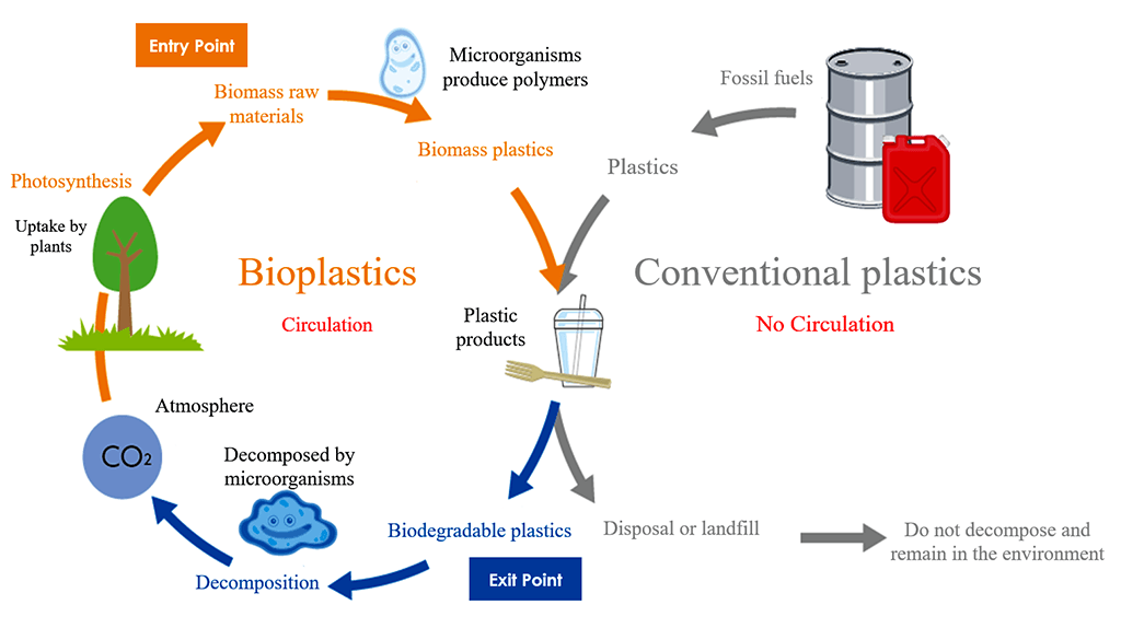 practical-use-of-biodegradable-plastics-addressing-the-challenge-of