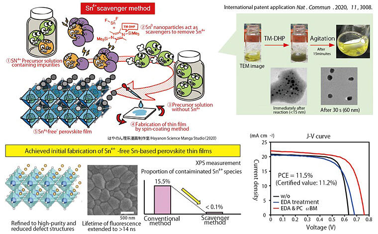 Efficient lead-free perovskite solar cells with high environmental